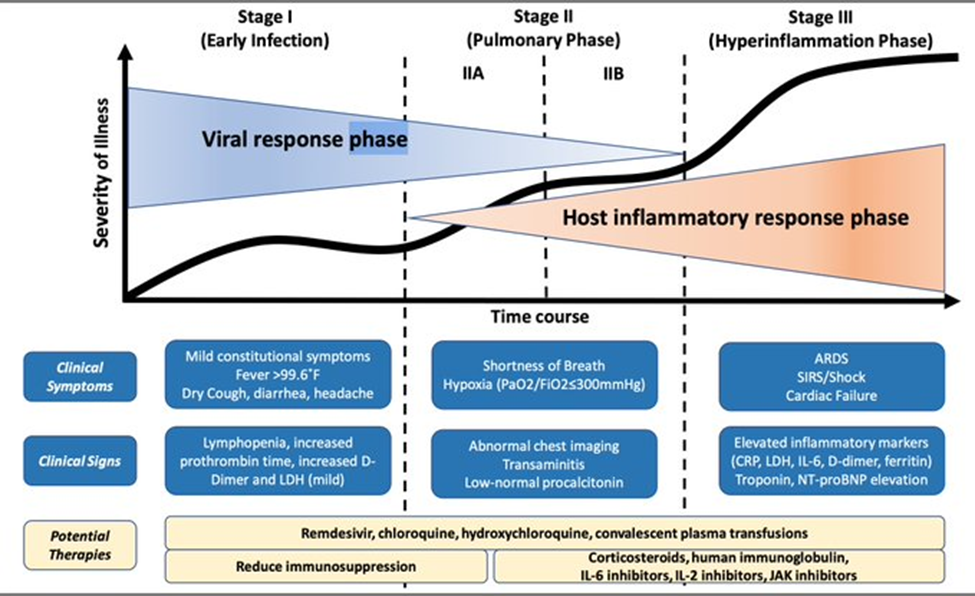 CoronaVirus Stages